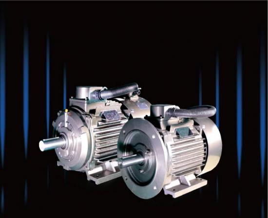 IE4 IE3 Three Phase Magnet Synchronous AC motors